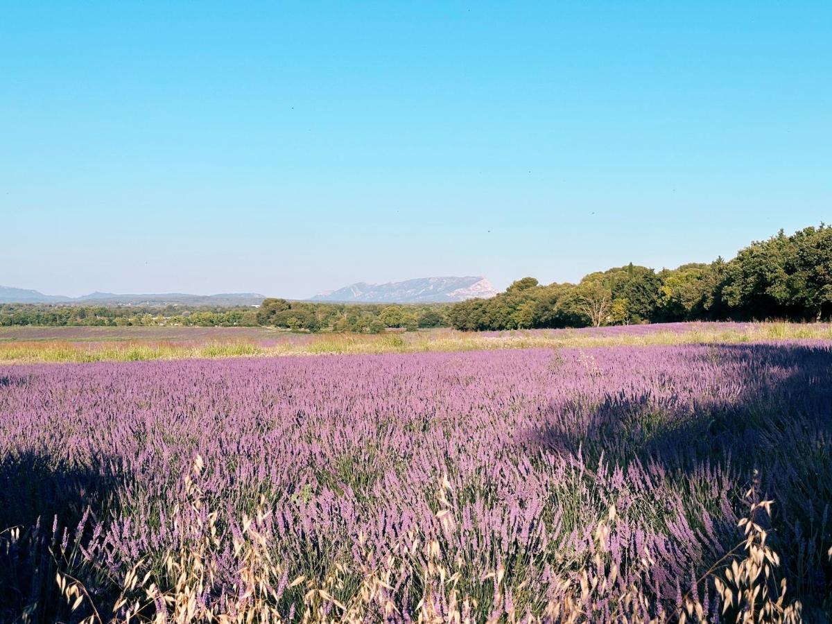 Maison Francoise Bed and Breakfast Aix-en-Provence Esterno foto