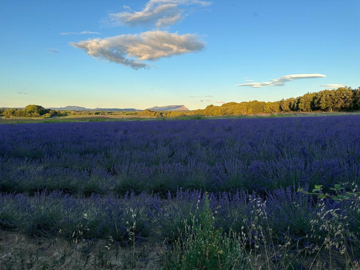 Maison Francoise Bed and Breakfast Aix-en-Provence Esterno foto