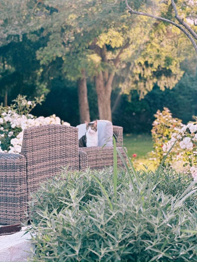 Maison Francoise Bed and Breakfast Aix-en-Provence Esterno foto